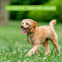 Lade das Bild in den Galerie-Viewer, Turbogras - für gesunden und schnellwachsenden Rasen inkl. Gratis eBook für nachhaltige Gartenpflege